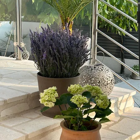 Appartamento Kovacev