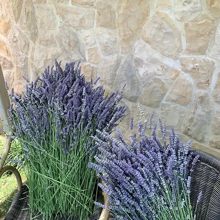 Appartamento Kovacev Zara