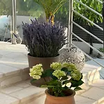 Apartman Kovacev