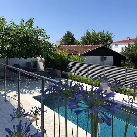 Kovacev Zadar