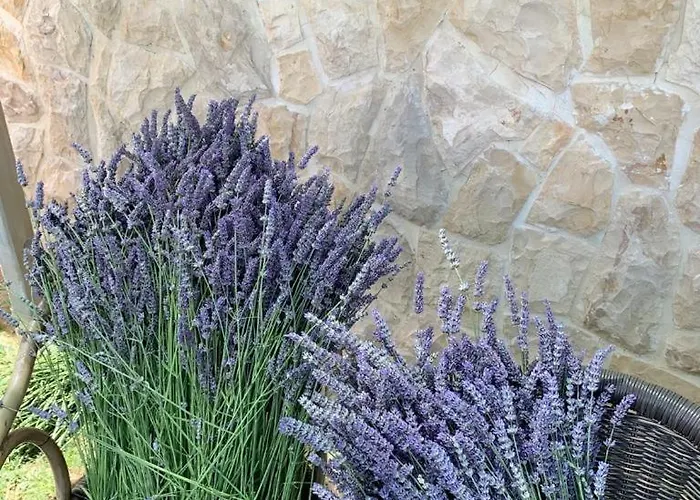 Appartement Kovacev Zadar